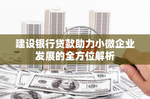 樊城建设银行贷款助力小微企业发展的全方位解析