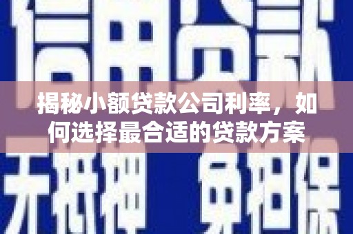 樊城揭秘小额贷款公司利率，如何选择最合适的贷款方案