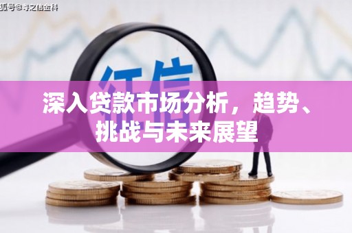 樊城深入贷款市场分析，趋势、挑战与未来展望