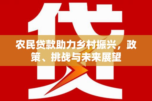 樊城农民贷款助力乡村振兴，政策、挑战与未来展望