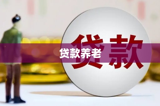樊城贷款养老