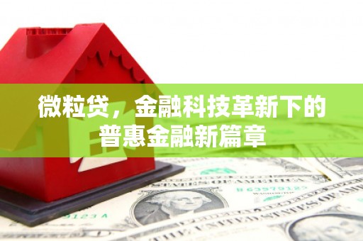樊城微粒贷，金融科技革新下的普惠金融新篇章