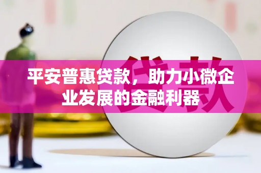 樊城平安普惠贷款，助力小微企业发展的金融利器