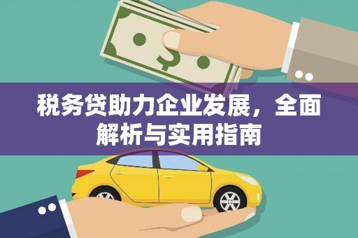 樊城税务贷助力企业发展，全面解析与实用指南
