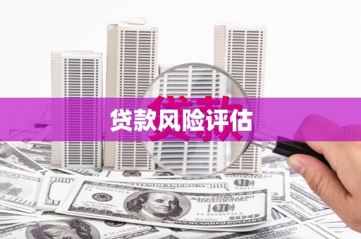 樊城贷款风险评估