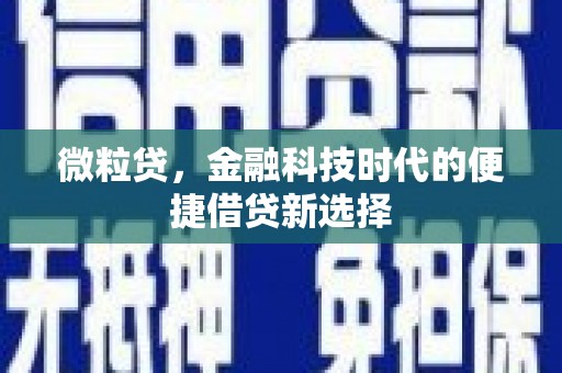 樊城微粒贷，金融科技时代的便捷借贷新选择