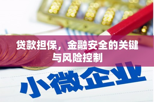 樊城贷款担保，金融安全的关键与风险控制