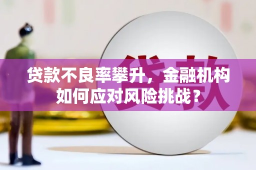 樊城贷款不良率攀升，金融机构如何应对风险挑战？