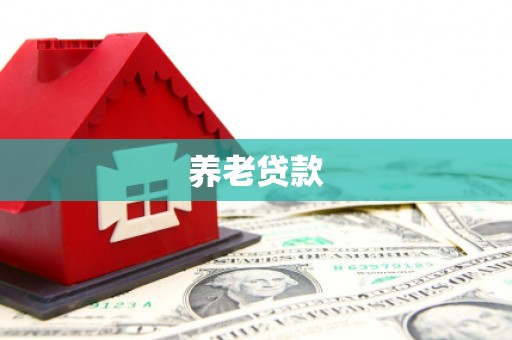 樊城养老贷款