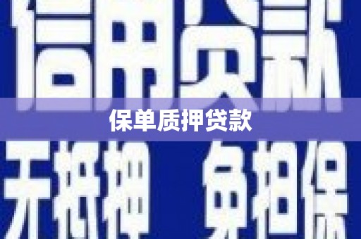 樊城保单质押贷款