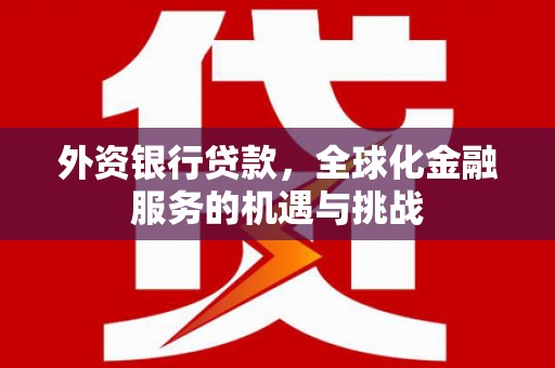 樊城外资银行贷款，全球化金融服务的机遇与挑战