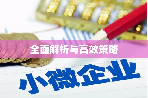 樊城全面解析与高效策略
