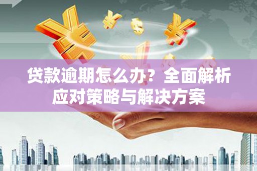 樊城贷款逾期怎么办？全面解析应对策略与解决方案
