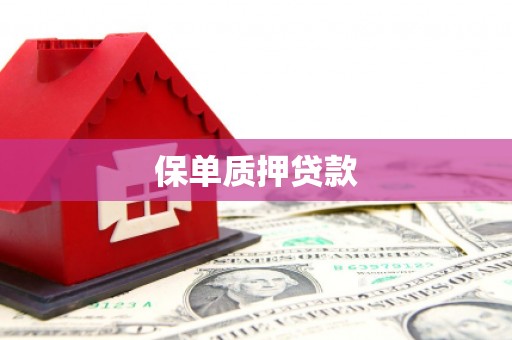 樊城保单质押贷款